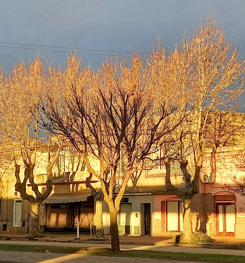 "Sol y sombras" de Patricia Sallete