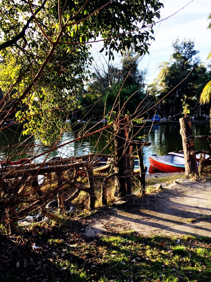 "Paseo del bosque." de Laura Manassero