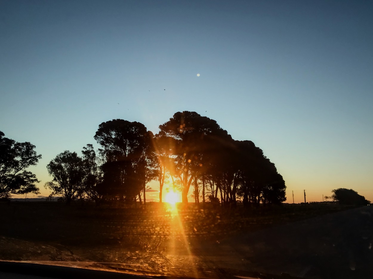 "Cuando el sol se esconde." de Maria Ines Ferrando