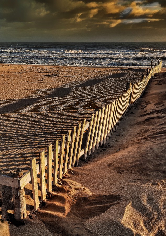 "Sombras del amanecer" de Roberto Guillermo Hagemann