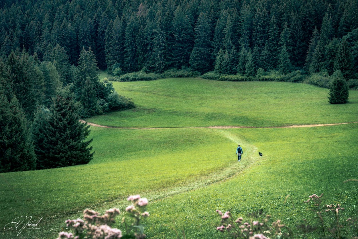 "Verde Azulado" de Eduard Jurcak