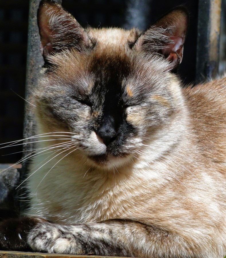 "Sol y relax." de Jorge Carlos Tarditi (carlos)