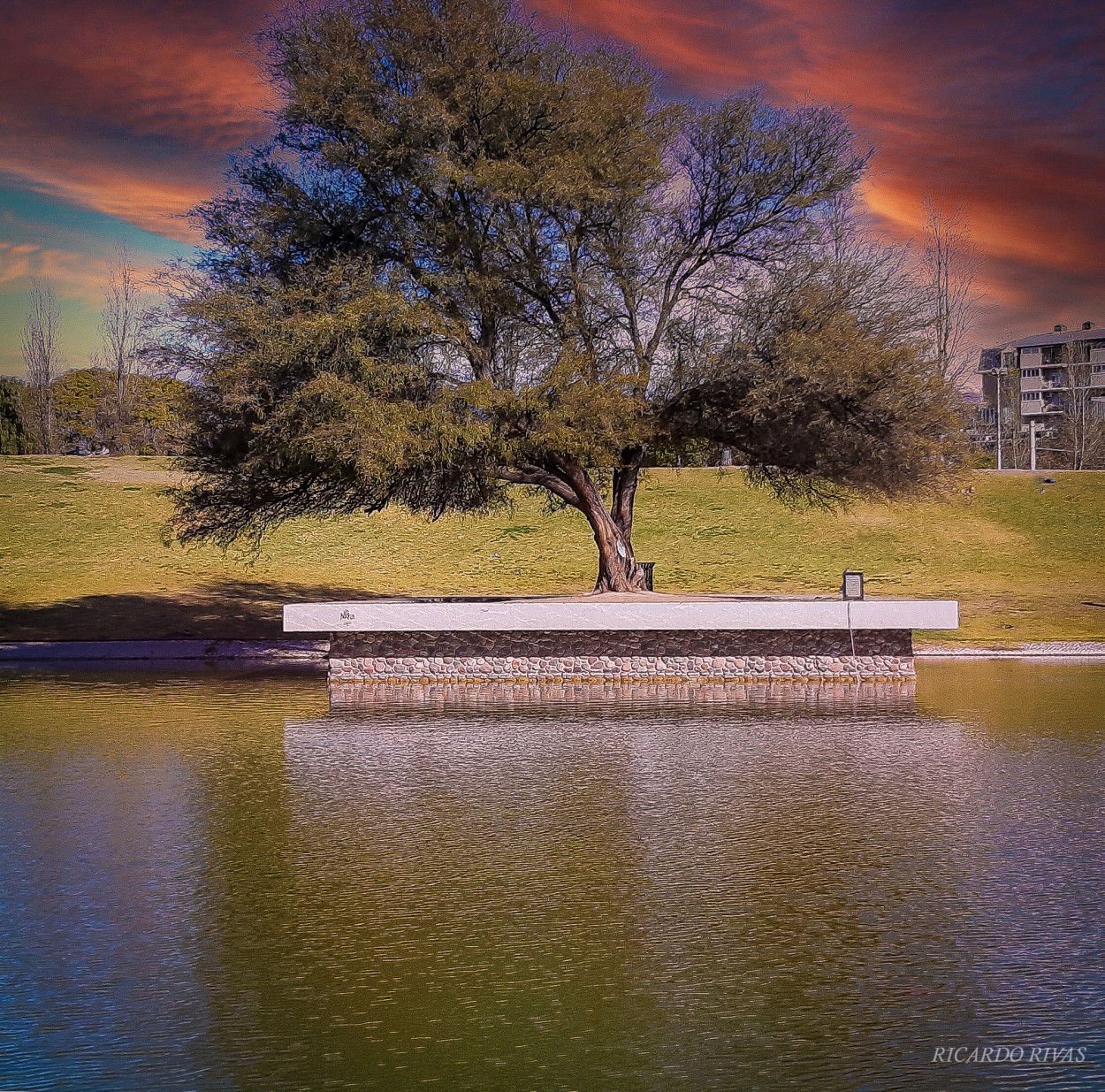 "Parque Central" de Ricardo Rivas