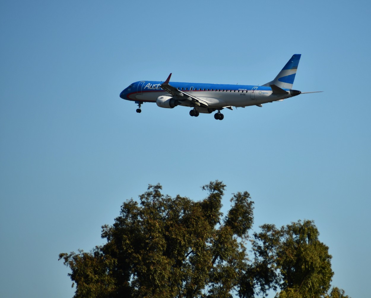 "Vuelo bajo" de Jose Charles Mengeon