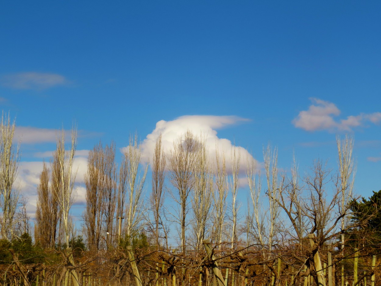 "`Una nube en el centro`" de Iris Elizabeth Scotto