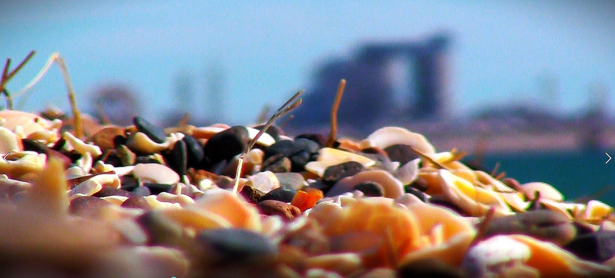 "La Playa del Puerto" de Gustavo Luben Ivanoff