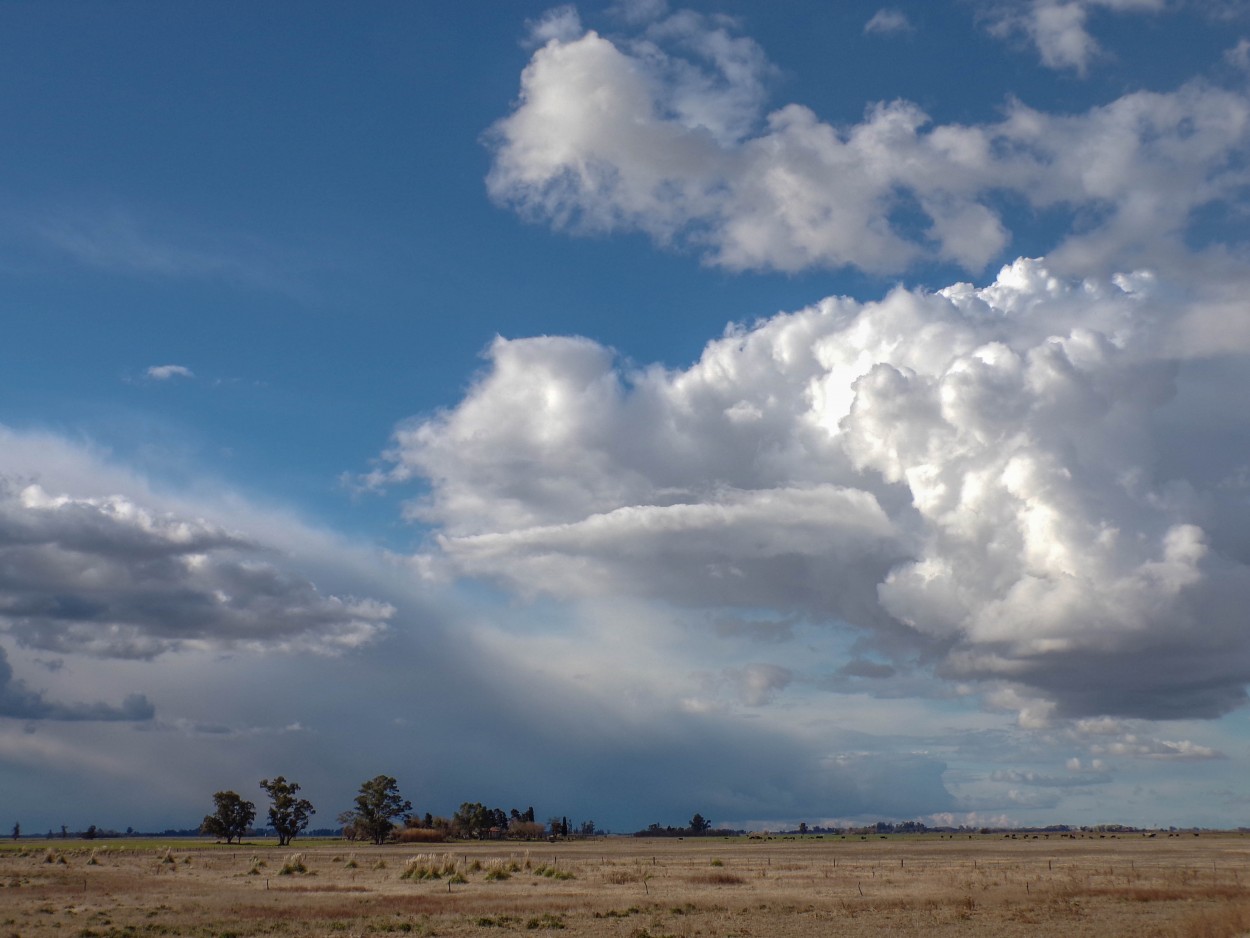 "Nubes en el campo" de Ainara Lorelei Reyna