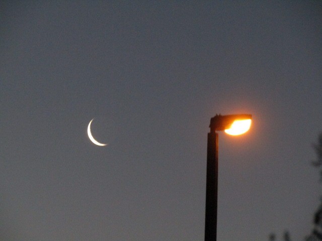 "Luna y farol" de Miguel Angel Palermo