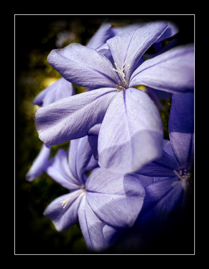 "Azul" de Carmen Esteban