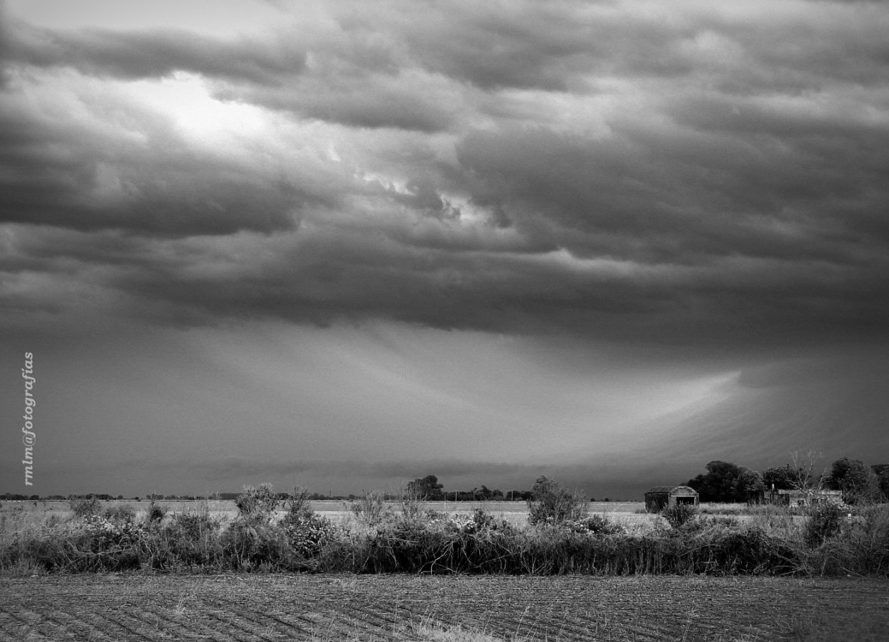 "Viento sur" de Ricardo Mximo Lopez Moral