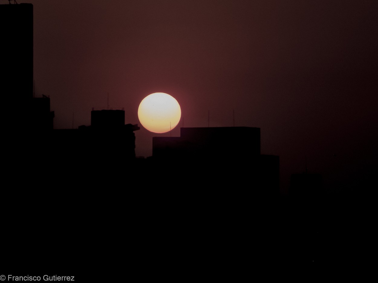 "El sol de todos los dias" de Francisco Gutierrez