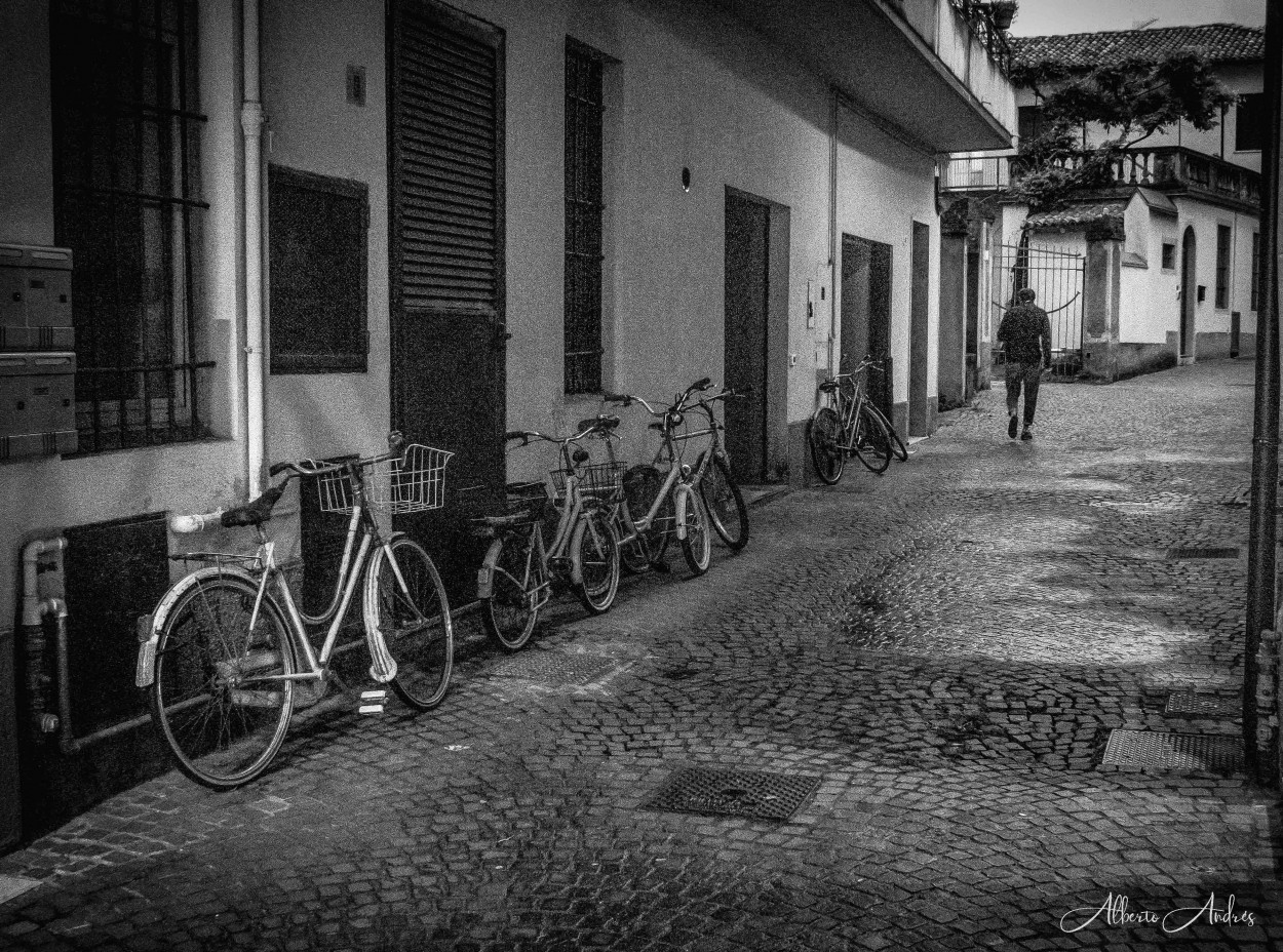 "Caminante solitario" de Alberto Andrs Melo