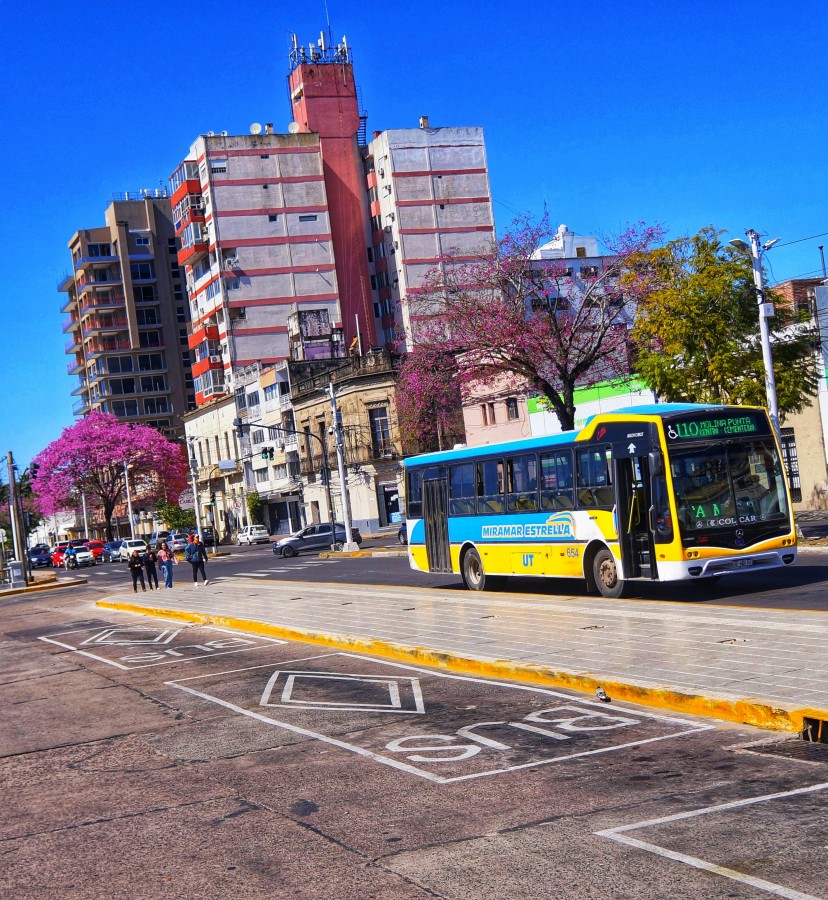 "Corrientes bajo el sol" de Ana Piris