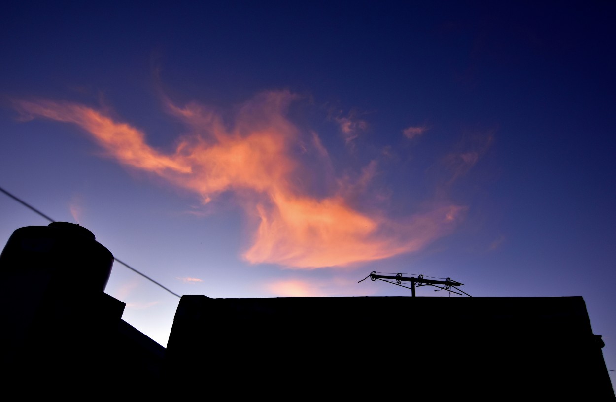 "Terrazas de la tarde." de Alejandro Silveira