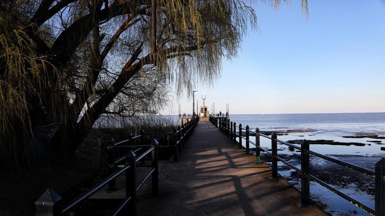 "El muelle..." de Juan Carlos Barilari