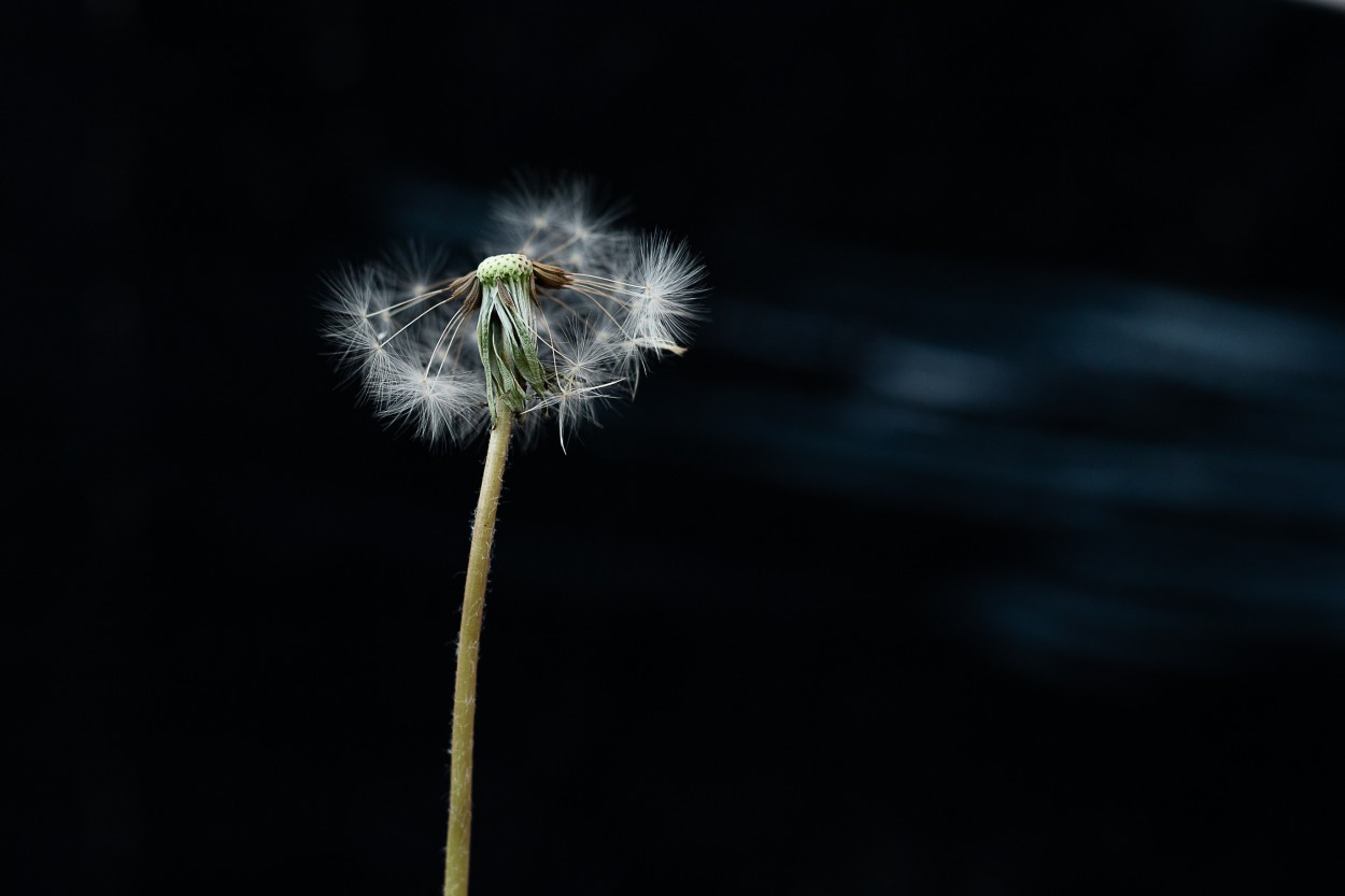 "Mi destino lo elige el viento" de Su Garcia Hillcoat