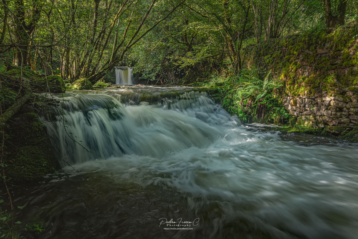 "El frescor..." de Pedro Fierro C Photography