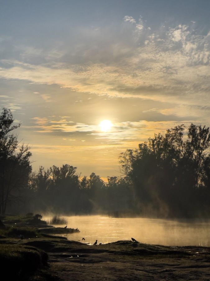 "Bruma al amanecer" de Guillermina Frelli