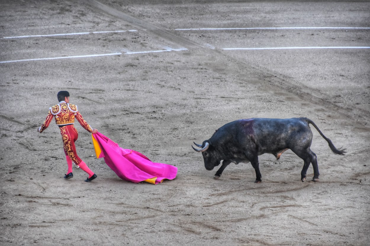 "Me voy..." de Maria Isabel Hempe