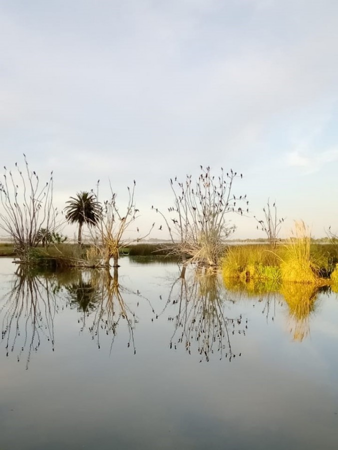 "Quietud" de Mariela Trazar