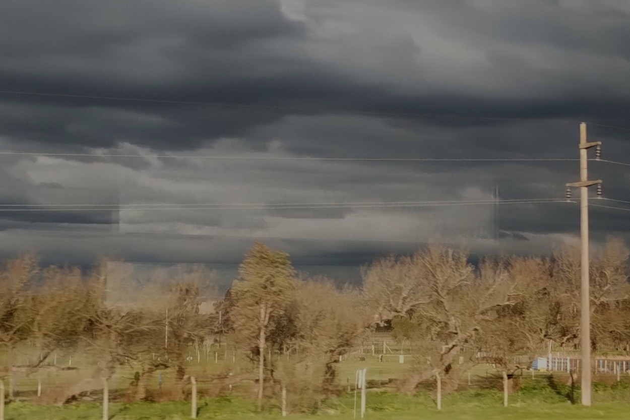 "Tormenta en ciernes" de Gerardo Mirkin