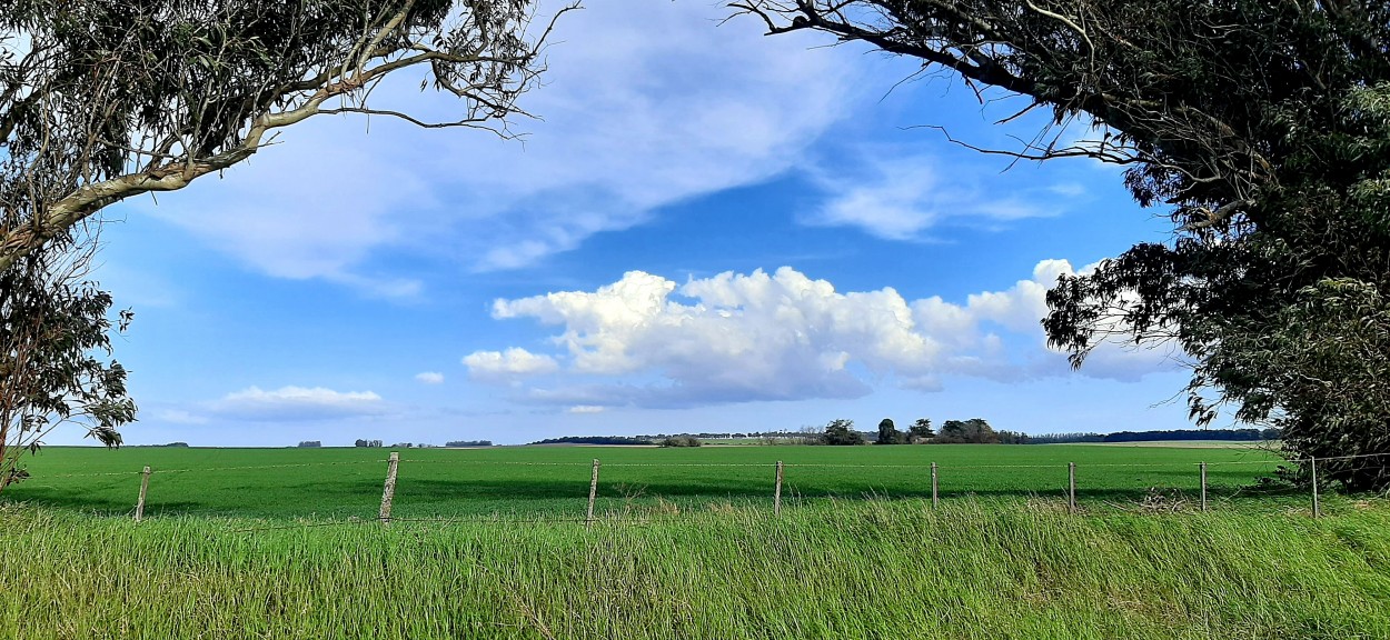 "Una ventana al cielo" de Juan Carlos Viegas