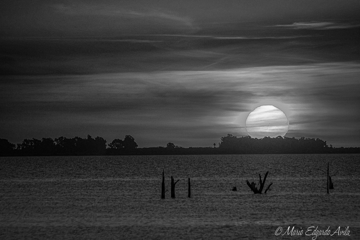 "LAGUNA MAR CHIQUITA - CORDOBA" de Mario Edgardo Avila