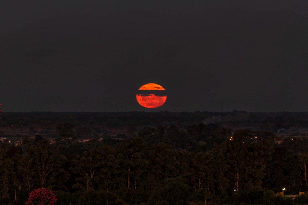 "Antes del eclipse" de Alfredo Fushimi