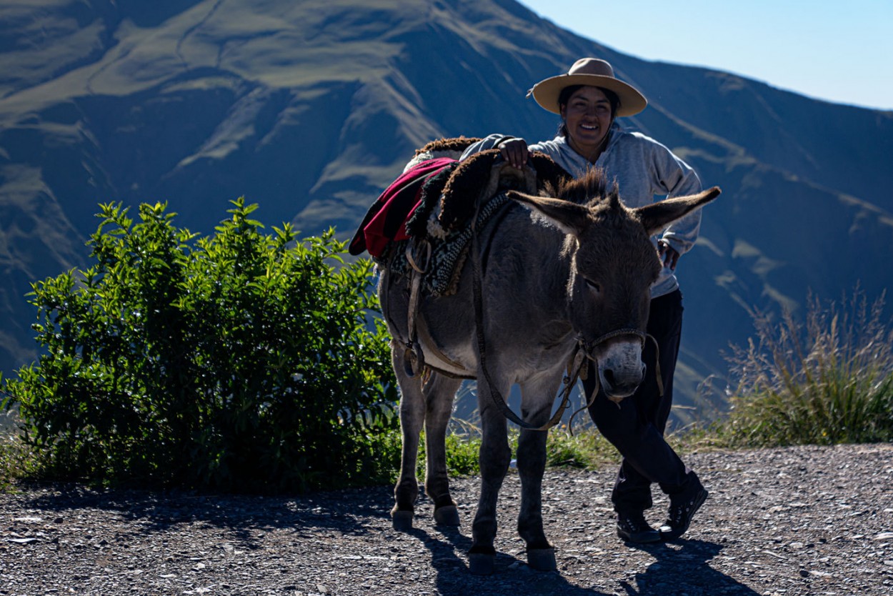 "Mi burro y yo" de Carlos Francisco Montalbetti