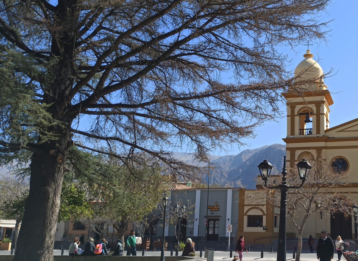 "Cafayate..." de Marcela Nadale Platero