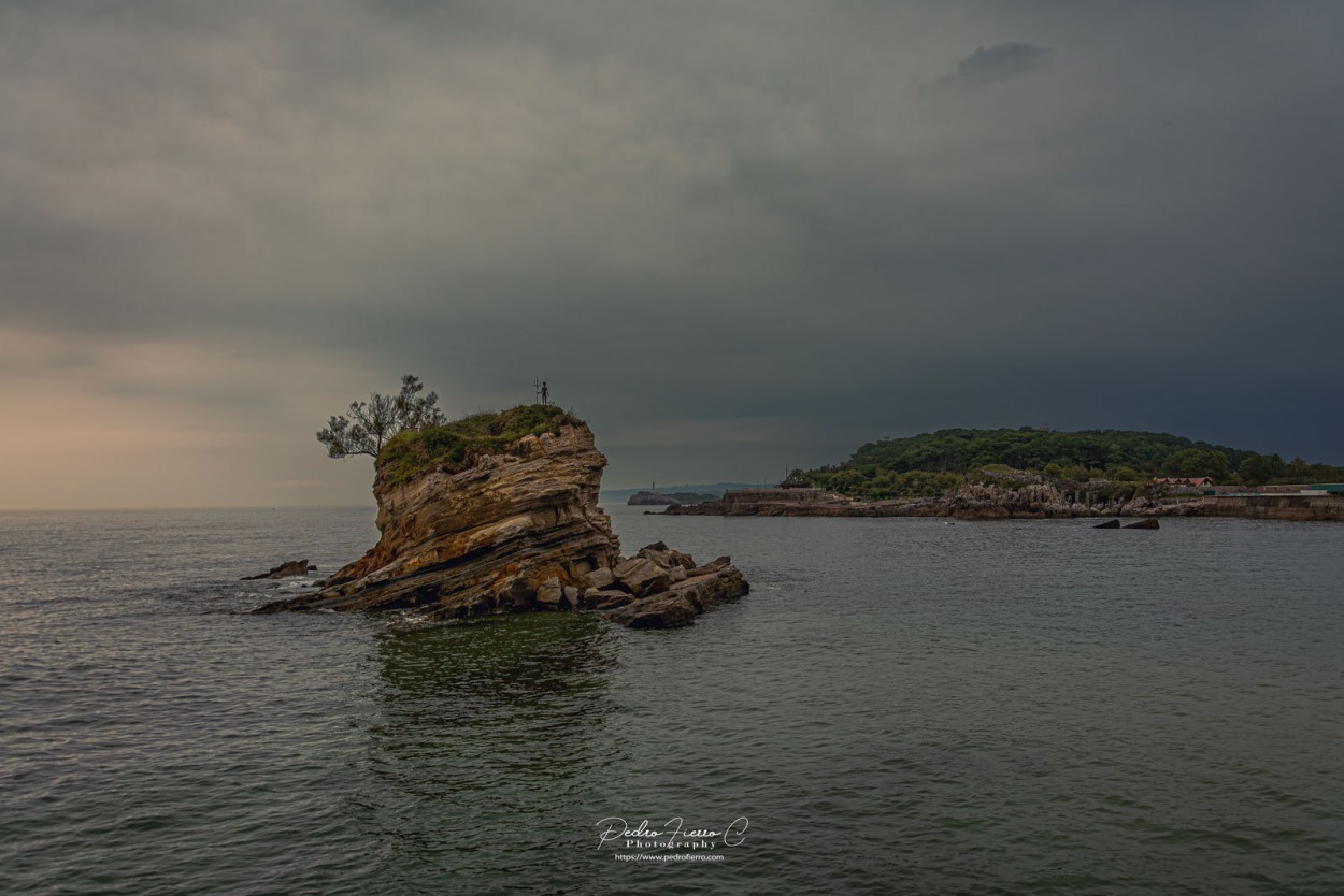 "El bicho..." de Pedro Fierro C Photography