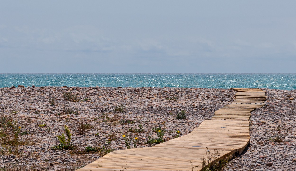 "Camino a la playa" de Carmen Roig Valverde