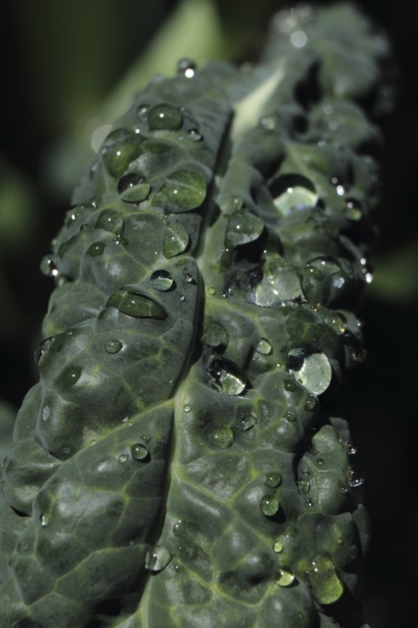 "Despues de la lluvia II" de Natalia Harosteguy