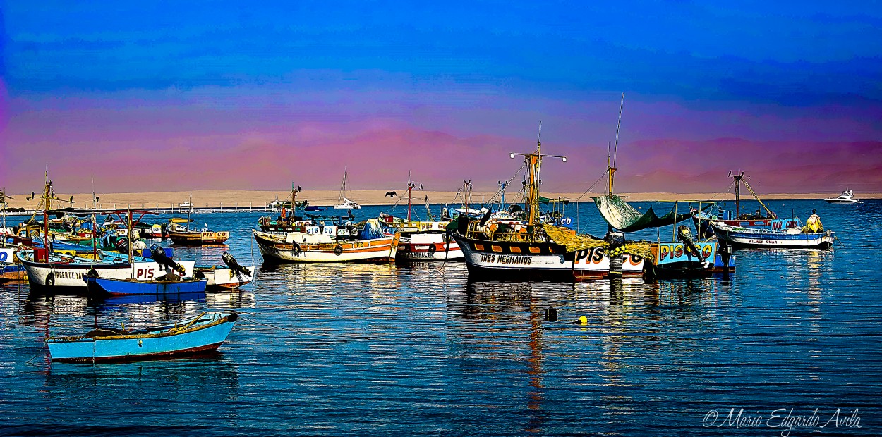 "PUERTO DE PRACAS - PERU" de Mario Edgardo Avila