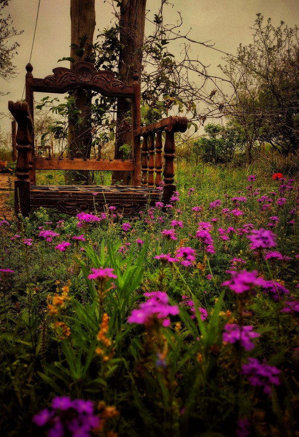 "primavera en Soledad.." de Claudio Romano