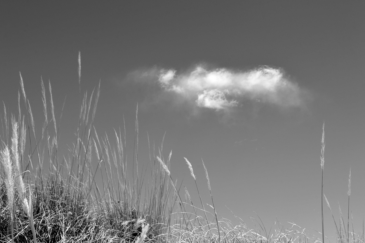 "nube y cortadera" de Marcos Pedro Escudero