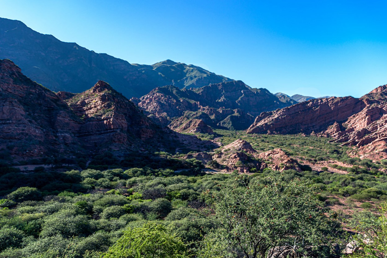 "Por Cafayate" de Carlos Francisco Montalbetti