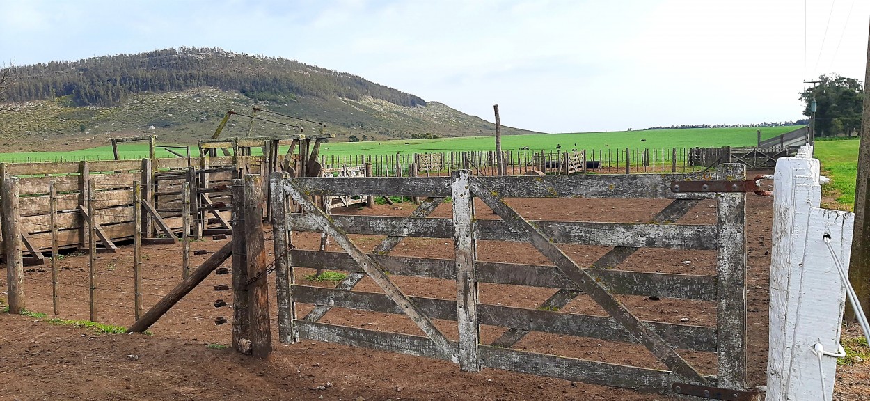 "A corral cerrado" de Juan Carlos Viegas