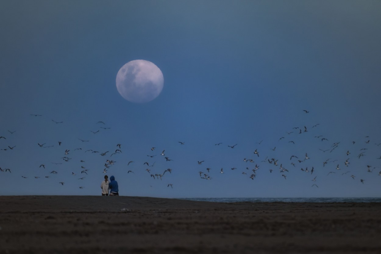 "Lunaticos" de Hugo Marchena