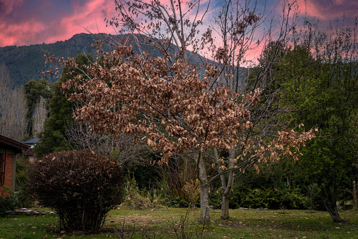 "Tarde de invierno" de Carlos Francisco Montalbetti