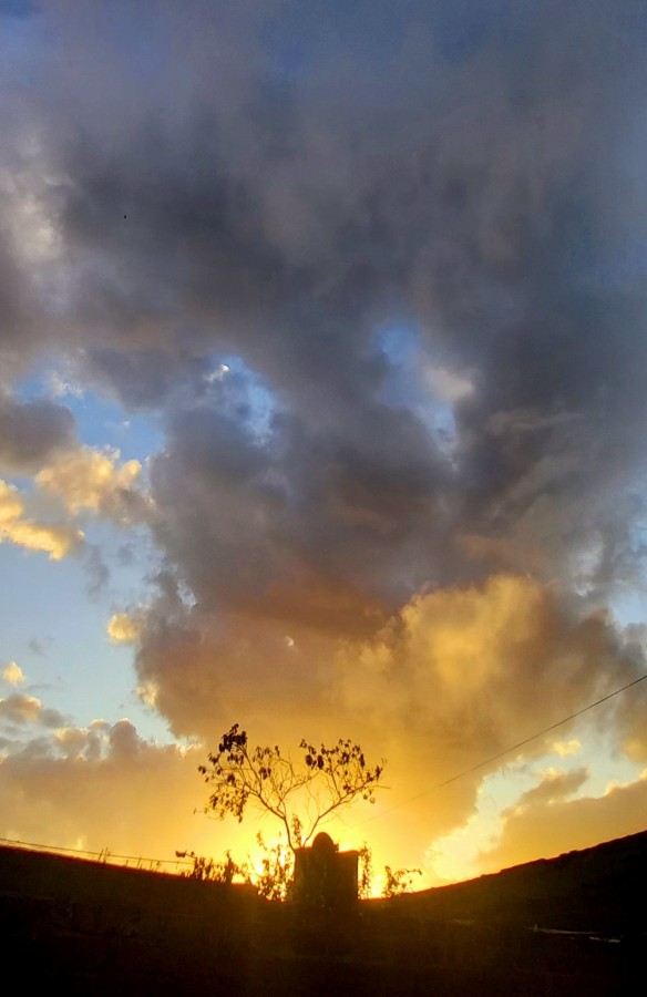 "Cayo la tarde" de Patricia Sallete