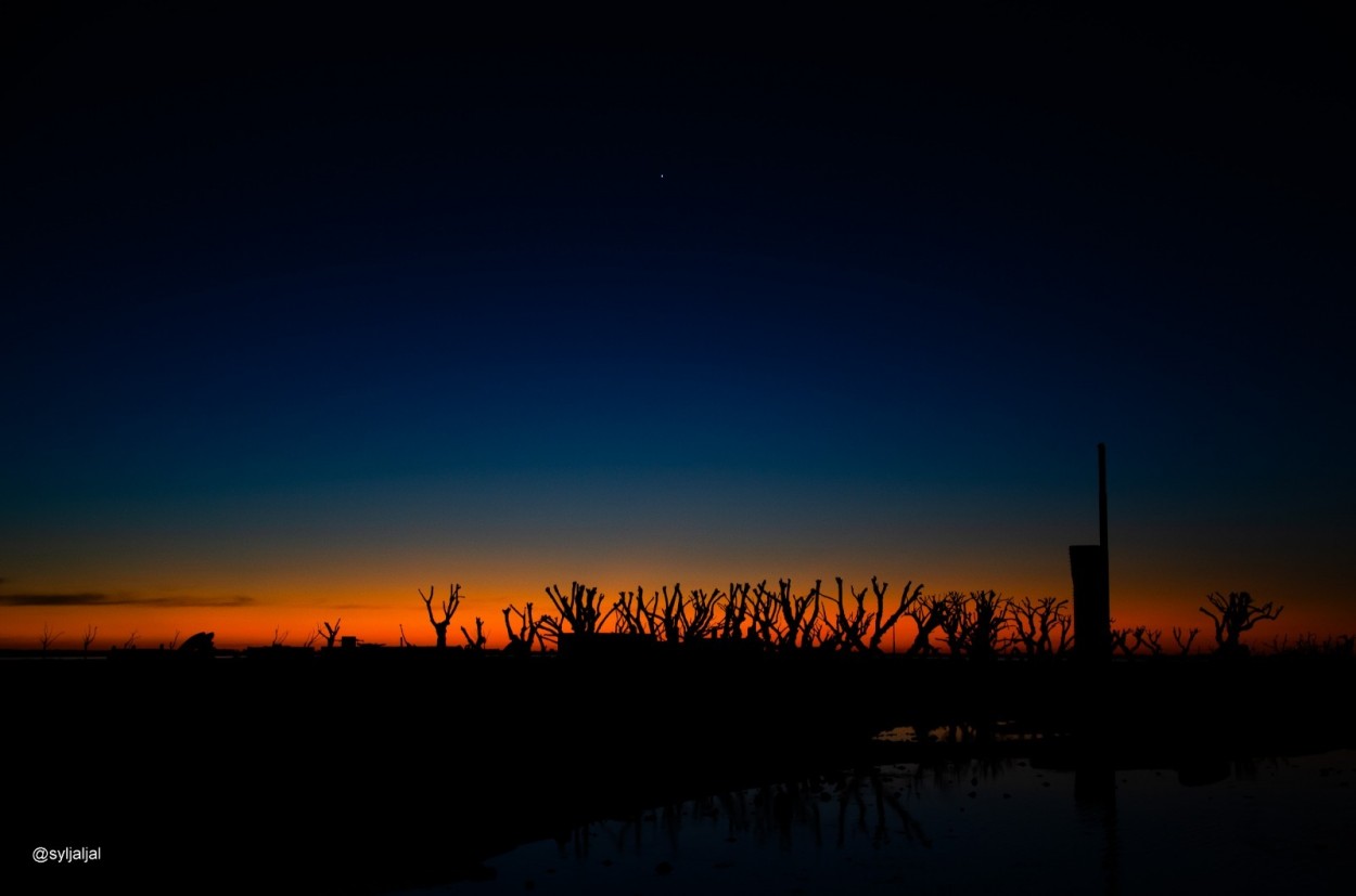 "Atardeceres mgicos" de Silvia Jaljal