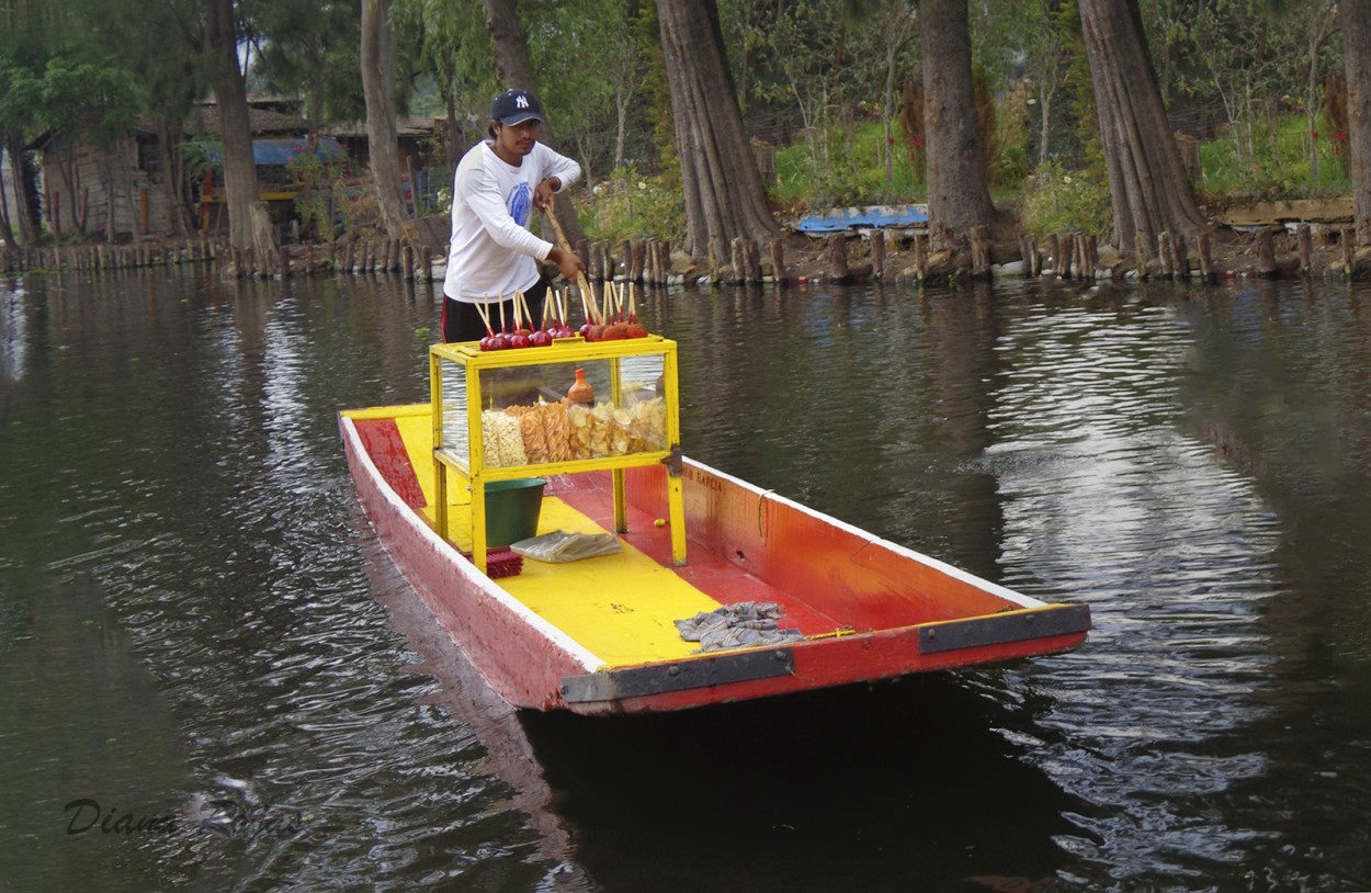 "Vendedor en el Lago Xochimilco" de Diana Rojas