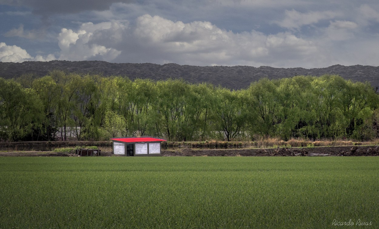 "Tupungato , Mendoza" de Ricardo Rivas