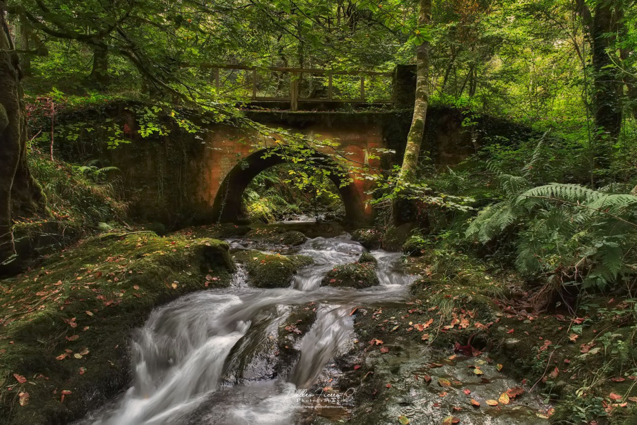 "Lluvia..." de Pedro Fierro C Photography