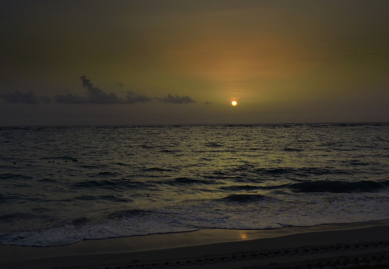 "Amanecer caribeo" de Silvia Olliari