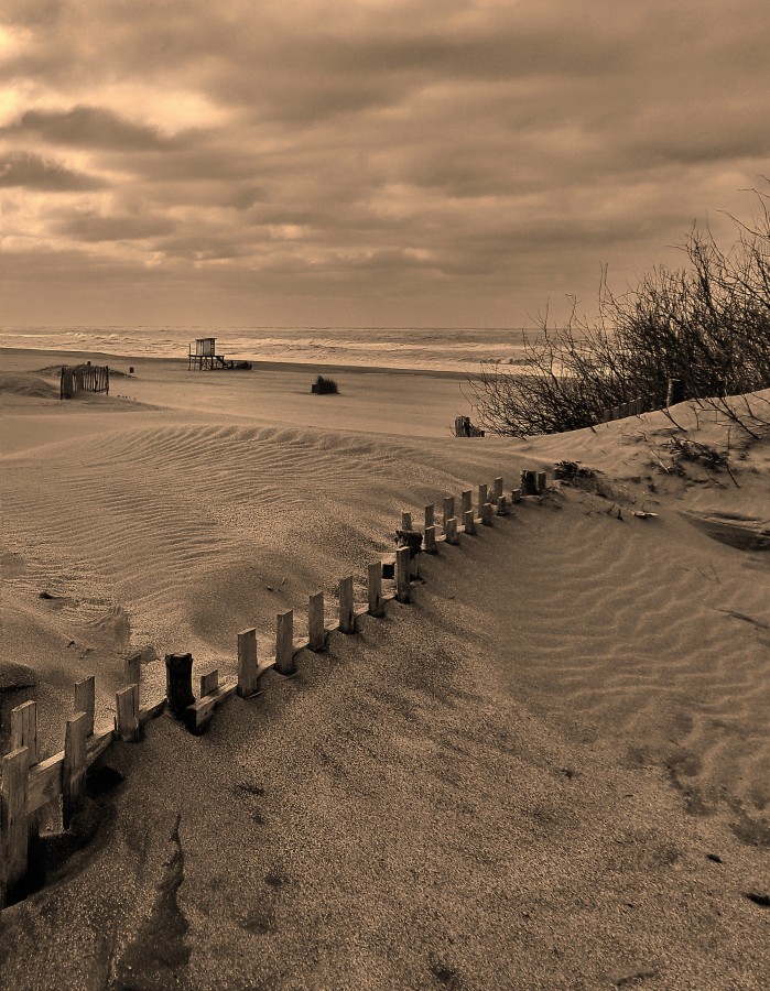 "Desoledades en sepia" de Roberto Guillermo Hagemann