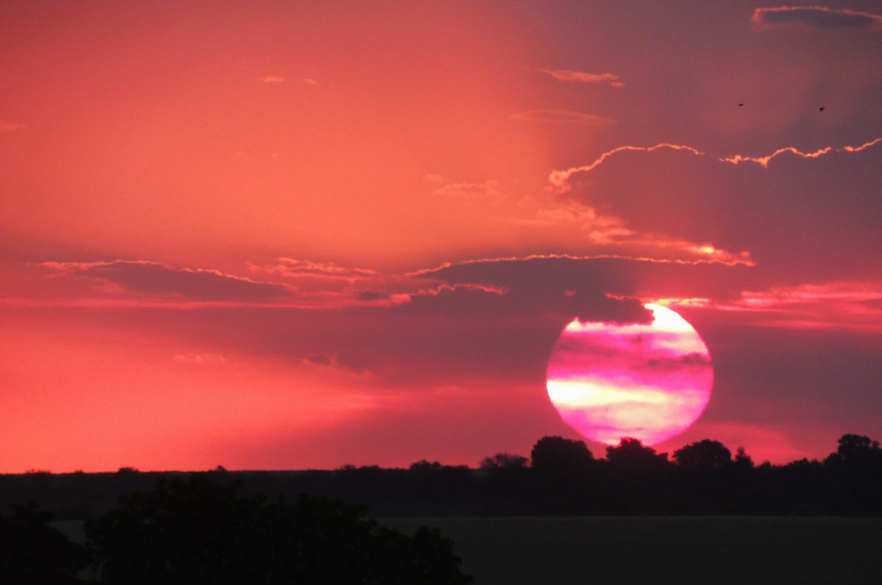 "Atardecer" de Carina Gironde