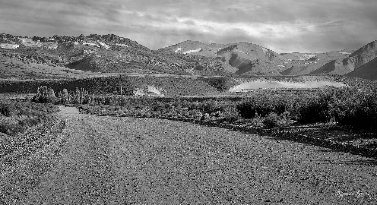 "Camino a Las Loicas,Malargue, Mendoza" de Ricardo Rivas