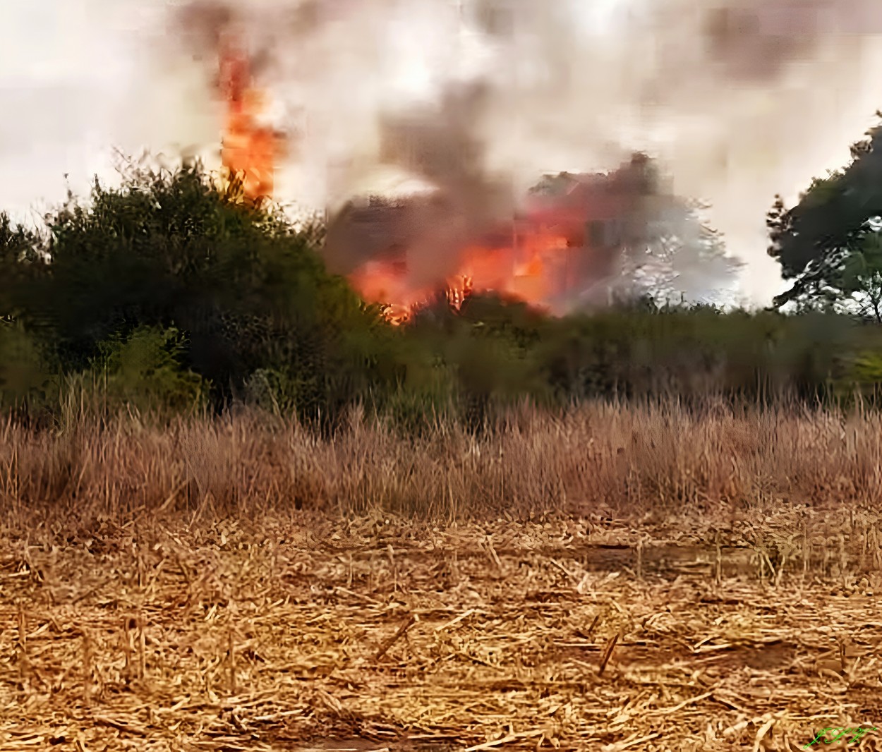 "El Fuego" de Jorge Vargas